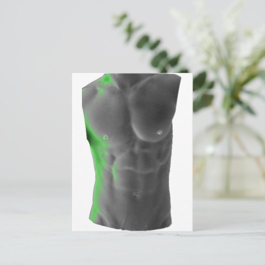 Carte Postale Abs (Debout devant)