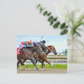 Carte Postale Absentee- Irad Ortiz jr. Camgo, Irish Roar (Debout devant)