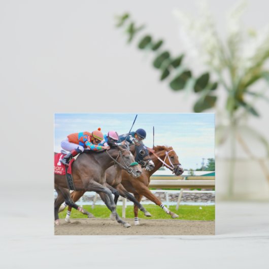 Carte Postale Absentee- Irad Ortiz jr. Camgo, Irish Roar (Debout devant)