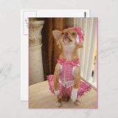 carte postale absolument mignonne de chiwawa (Devant / Derrière)