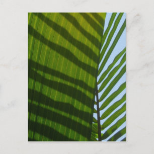 Carte Postale Abstract