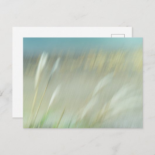 Carte Postale Abstract Photograph Postcard (Devant / Derrière)