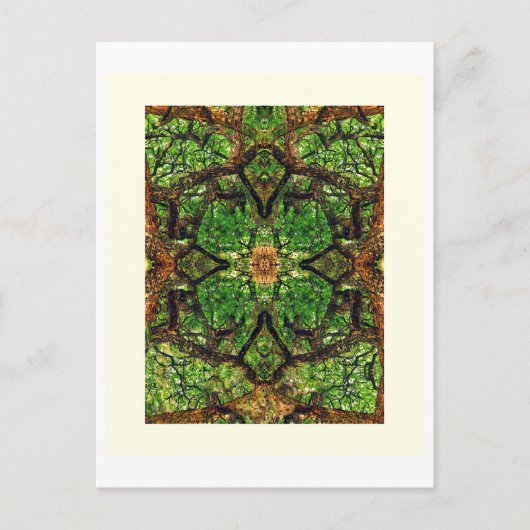 Carte Postale ABSTRACTION DES ARBRES AMBIDEXTÉROUS #66, Édition  (Devant)