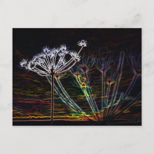 Carte postale Abstrait Cow Parsley