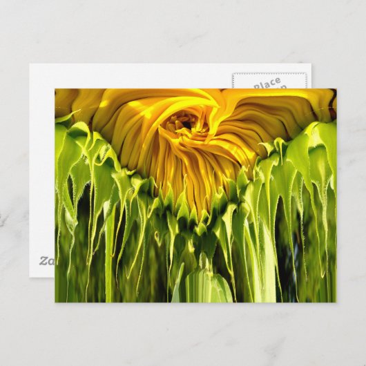 Carte Postale Abstrait tournesol rétro funky, géométrie effrayée (Devant / Derrière)