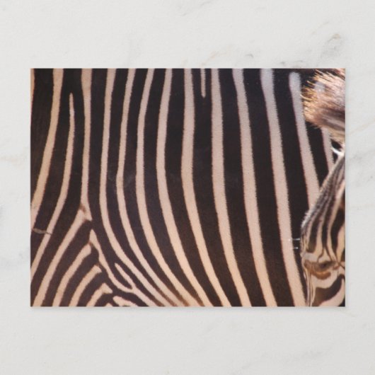 Carte postale Abstraite (Devant)