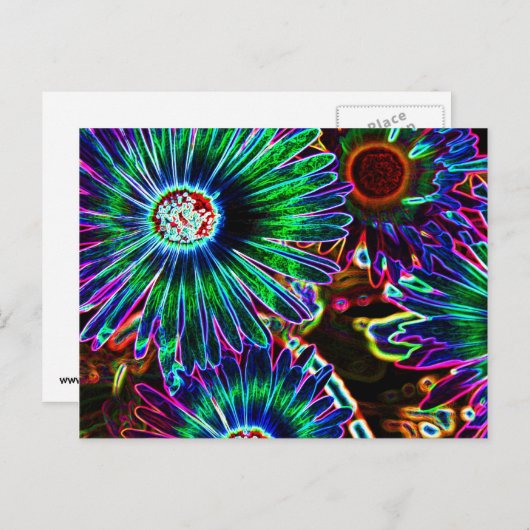 Carte postale Abstraite Cape Daisy (Devant / Derrière)