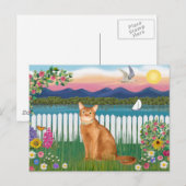 Carte Postale Abyssinian (rouge 18) - Garden-Shore (Devant / Derrière)