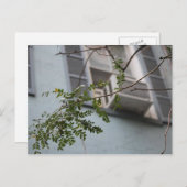 CARTE POSTALE "AC FEUILLES" (COLLECTIBLE) (Devant / Derrière)