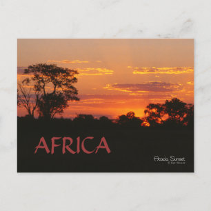 Carte postale Acacia Sunset Africa