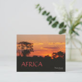 Carte postale Acacia Sunset Africa (Debout devant)