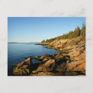 Carte Postale Acadia de Shoreline