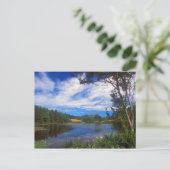 Carte Postale Acadia Long Pond View (Debout devant)