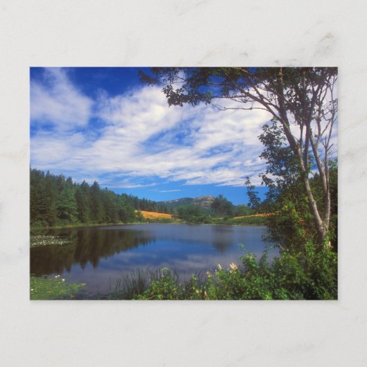 Carte Postale Acadia Long Pond View (Devant)
