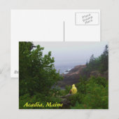 Carte Postale Acadia, Maine (Devant / Derrière)