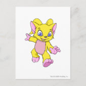 Carte Postale Acara jaune (Devant)