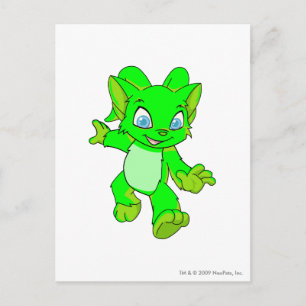 Carte Postale Acara Lumineuse