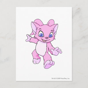 Carte Postale Acara rose
