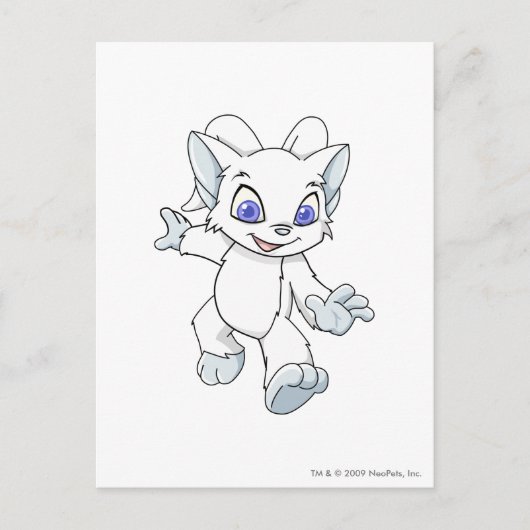 Carte Postale Acara White (Devant)