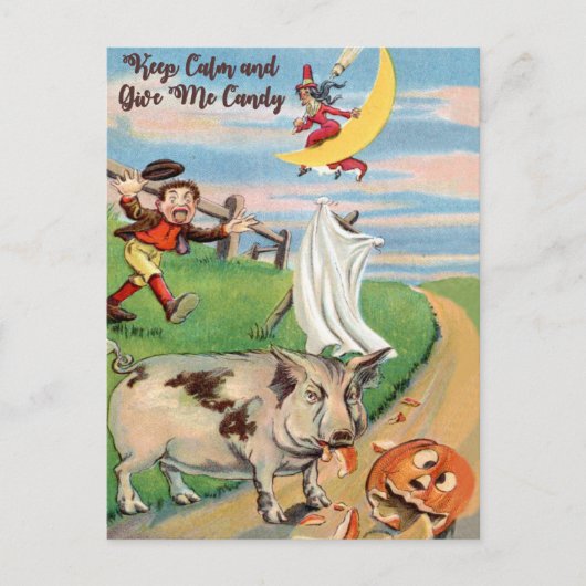 Carte Postale Accident de citrouille avec cochon (Devant)