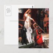 Carte Postale Accolade - Caniche (TWO Standard) (Devant / Derrière)