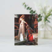 Carte Postale Accolade - chat blanc (Debout devant)