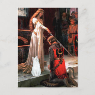 Carte Postale Accolade - chat blanc