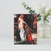 Carte Postale Accolade - Poodle (DEUX standard) (Debout devant)