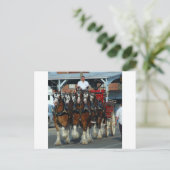 Carte Postale Accroc de cheval de Clydesdale 6 (Debout devant)