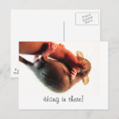 Carte Postale Accrochez-vous à There Rat (Devant / Derrière)