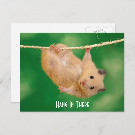 Carte Postale Accrochez-Vous Dans Le Hamster (Devant / Derrière)