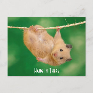 Carte Postale Accrochez-Vous Dans Le Hamster