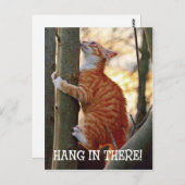 Carte Postale Accrochez-vous là avec le chat dans l'arbre photo (Devant / Derrière)