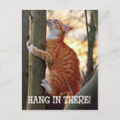 Carte Postale Accrochez-vous là avec le chat dans l'arbre photo (Devant)