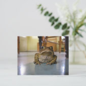 Carte Postale Accueil (Debout devant)