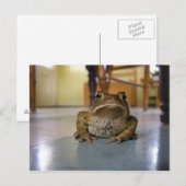 Carte Postale Accueil (Devant / Derrière)