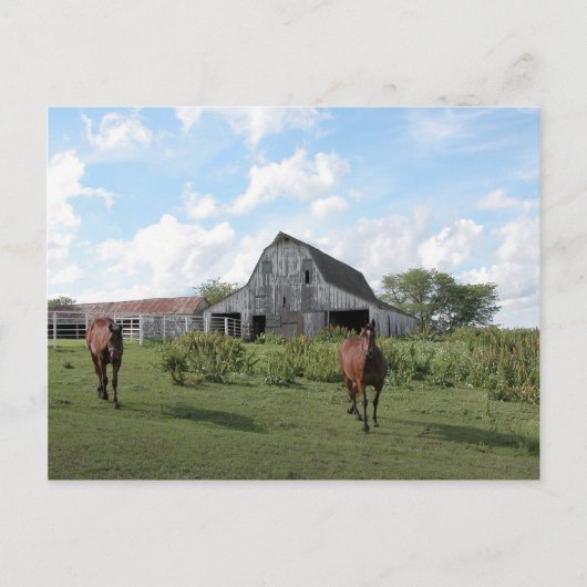 Carte Postale Accueil convivial (Devant)