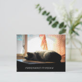 CARTE POSTALE ACHAT À RÊVE (Debout devant)