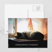 CARTE POSTALE ACHAT À RÊVE (Devant / Derrière)