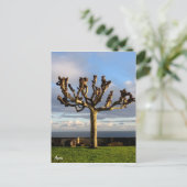 Carte postale Açores Ermida da mae de Deus (Debout devant)