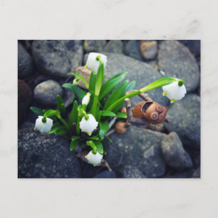 Carte Postale Acorn 11 with snowflake flower spring postcard