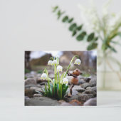 Carte Postale Acorn 11 with snowflake flower spring postcard (Debout devant)