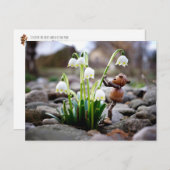 Carte Postale Acorn 11 with snowflake flower spring postcard (Devant / Derrière)