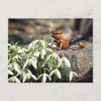 Acorn 11 with snowflake flower spring postcard
