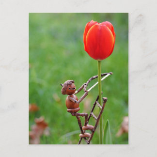 Carte Postale Acorn elf comme tulipe jardinier de printemps cart
