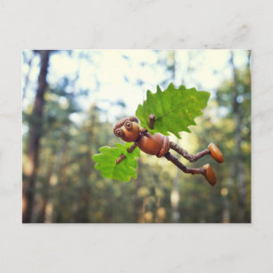 Carte postale Acorn elf Ikaros