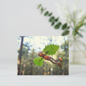 Carte postale Acorn elf Ikaros (Debout devant)