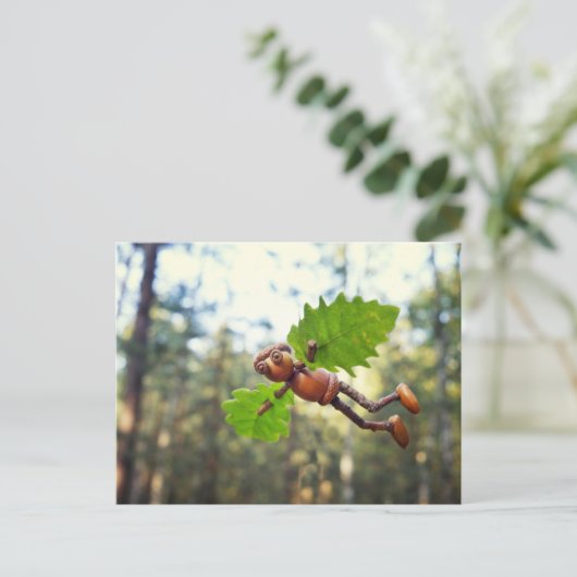 Carte postale Acorn elf Ikaros (Debout devant)
