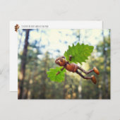 Carte postale Acorn elf Ikaros (Devant / Derrière)