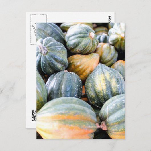 Carte Postale Acorn Squash (Devant / Derrière)